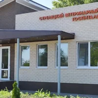 Клиника Стрелецкий ветеринарный госпиталь на проекте VetSpravka.ru Клиника Стрелецкий ветеринарный госпиталь на проекте VetSpravka.ru