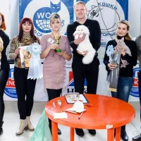 Кинологической клуб Мир животных Фото 2 на проекте VetSpravka.ru Кинологической клуб Мир животных Фото 2 на проекте VetSpravka.ru