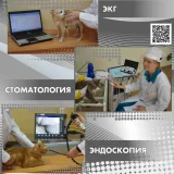 Ветеринарная клиника Центр инновационной ветеринарной медицины, Белгородский ГАУ им. В.Я. Горина на проекте VetSpravka.ru Ветеринарная клиника Центр инновационной ветеринарной медицины, Белгородский ГАУ им. В.Я. Горина на проекте VetSpravka.ru